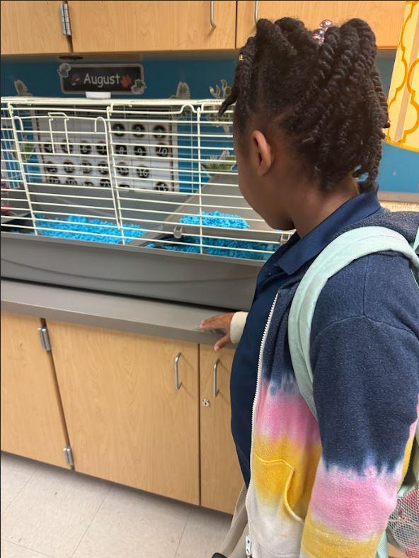 Fueling Success Through Science Discoveries